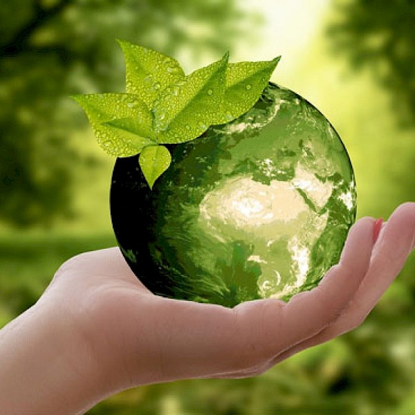 Afbeelding: Wereldwijde inspanningen om klimaatverandering tegen te gaan (duurzaam-og.jpg)